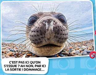 Science & Vie Découvertes 329 BIEN DIT !