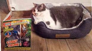 Science & Vie Découvertes 329 PHOTO-WAOUH