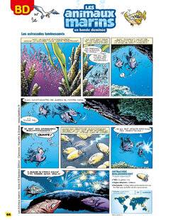 Science & Vie Découvertes 329 Les ostracodes luminescents