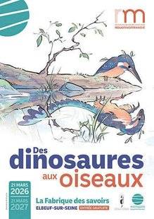 Science & Vie Découvertes 329 À TIRE D'AILES