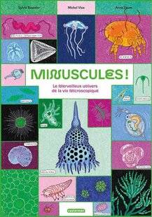 Science & Vie Découvertes 329 RIQUIQUI