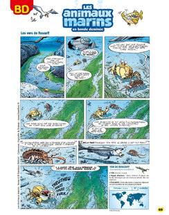 Science & Vie Découvertes 330 LES animaux marins