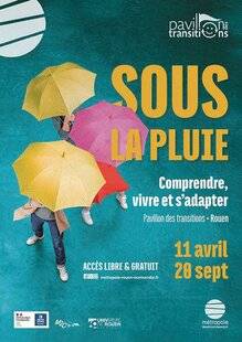 Science & Vie Découvertes 330 IL PLEUT IL PLEUT BERGÈRE…