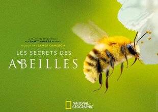 Science & Vie Découvertes 330 LE SECRET DES ABEILLES