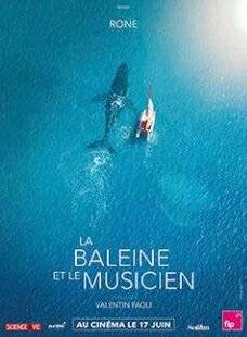 Science & Vie Découvertes 331 La baleine et le musicien