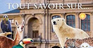 Science & Vie Découvertes 331 Tout savoir sur…