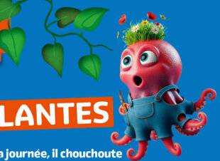 Science & Vie Découvertes 331 DORLOTEUR de PLANTES