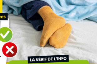 Science & Vie Découvertes 332 Se coucher avec des chaussettes aide à s'endormir plus vite.