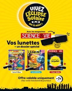 Science & Vie Découvertes 332 SCIENCE & VIE