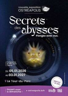 Science & Vie Découvertes 332 MOLLUSQUE ET PLUS
