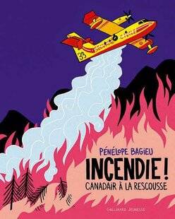 Science & Vie Découvertes 332 MISSION INCENDIES