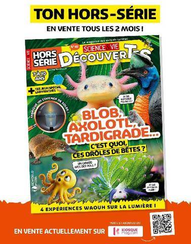 Science & Vie Découvertes 334 