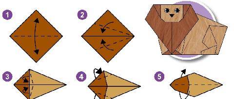 Science & Vie Découvertes 334 ZOORIGAMI