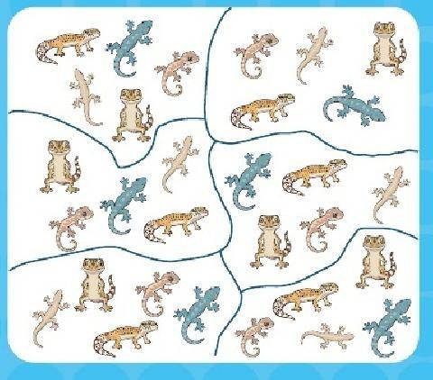 Science & Vie Découvertes 334 SOLUTIONS