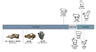 Edition spéciale 49 Tout a débuté il y a au moins 15 000 ans