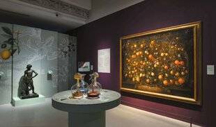 Les Cahiers de Science & Vie 218 L'UNIVERS OLFACTIF DE LÉONARD DE VINCI