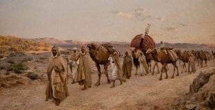 Les Cahiers de Science & Vie 222 L'ALGÉRIE AVANT LES FRANÇAIS