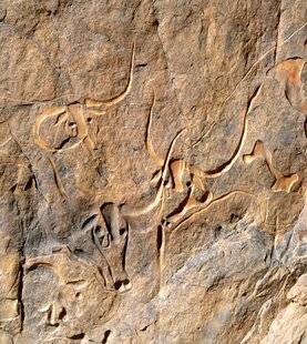 Les Cahiers de Science & Vie 222 TASSILI N'AJJER, MUSÉE À CIEL OUVERT