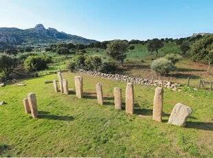 Les Cahiers de Science & Vie 223 LES STANTARI DE L'ÎLE DE BEAUTÉ