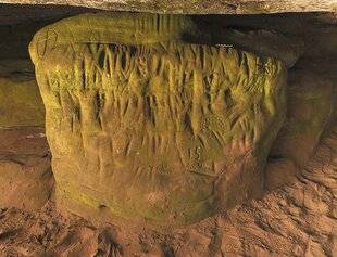 Les Cahiers de Science & Vie 223 L'art rupestre préhistorique en forêt de Fontainebleau