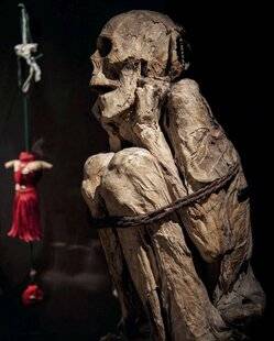 Les Cahiers de Science et Vie 226 CORPS IMMORTELS