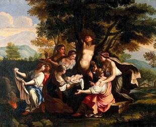 Les Cahiers de Science et Vie 226 LES MÉTAMORPHOSES OU L'ART DE LA VARIATION