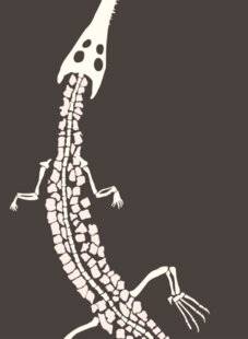 Les Cahiers de Science et Vie 226 SCIENCE & IMAGINAIRE