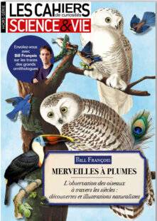 Les Cahiers de Science et Vie 226 PLUMES & PIERRES
