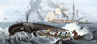 Les Cahiers de Science et Vie 227 DU FORAGE AU BARIL