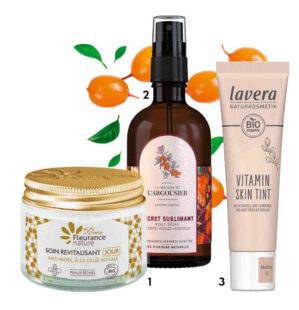 Biba 528 ON MISE TOUT SUR L'ARGOUSIER