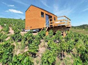 Biba Poche 529 4 hôtels au milieu des vignes (et où on ne fait pas que boire !)