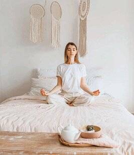 Biba 534 Le Vastu, le nouveau Feng Shui