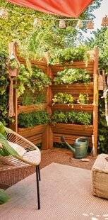 Biba 535 Je transforme mon balcon en paradis vert
