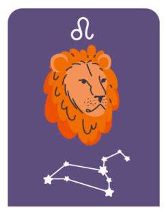 Biba Poche 537 Lion