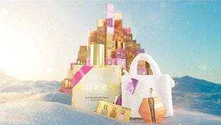 Biba 541 NUXE Noël magique