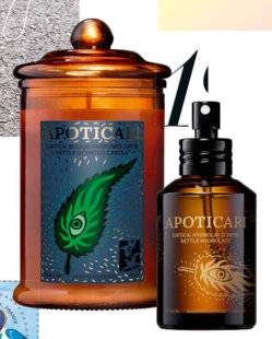 Biba 543 ON SE PIQUE D'ORTIE