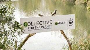 Biba 543 Garnier répond à l'appel de la forêt