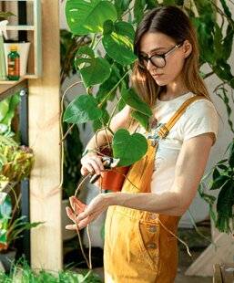 Biba Poche 544 Mon yucca, c'est la famille