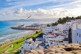 Biba Poche 544 Tanger immédiat