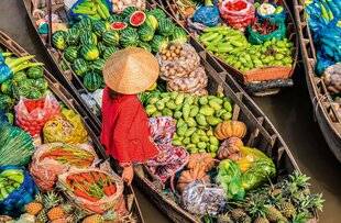 Biba Poche 547 Délices vietnamiennes