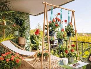 Modes & Travaux 1483 UN ECRIN DE VERDURE