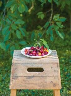 Modes & Travaux 1483 Le temps DES CERISES