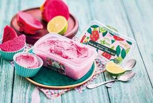 Modes & Travaux 1485 Fruits en folie