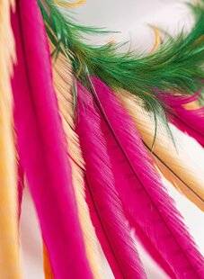 Modes & Travaux 1490 Les trucs en plumes de Valérie Tanfin