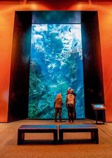 Modes & Travaux 1495 VINGT-MILLE LIEUX SOUS LES MERS