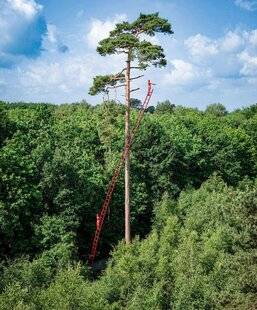 Modes & Travaux 1497 L'ART AU CŒUR DE LA FORÊT