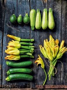 Modes & Travaux 1498 Le temps des COURGETTES