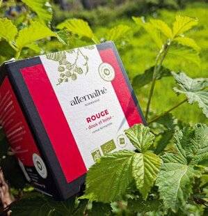 Modes & Travaux 1501 LE FAUX THÉ DE NORMANDIE