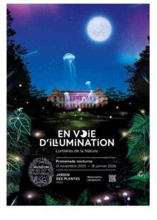 Modes & Travaux 1502 NATURE EN LUMIÈRE