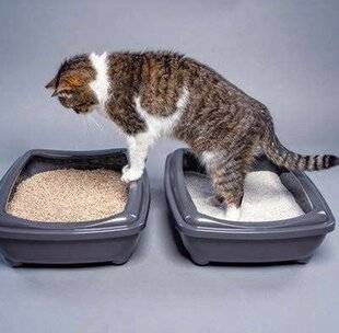 Modes & Travaux 1502 LE GESTE ÉCOLO À PORTÉE DE BAC